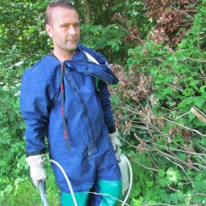 Insectes. Les nuisibles déjà de sortie