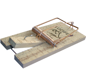 TAPETTES A SOURIS EN BOIS – LOT DE 6 –