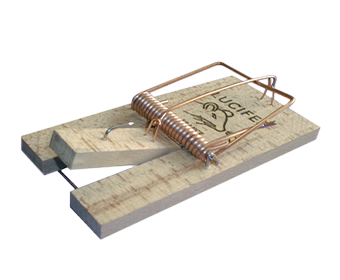 TAPETTES A SOURIS EN BOIS – LOT DE 6 –
