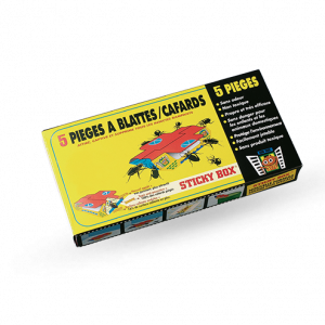 STICKY BOX