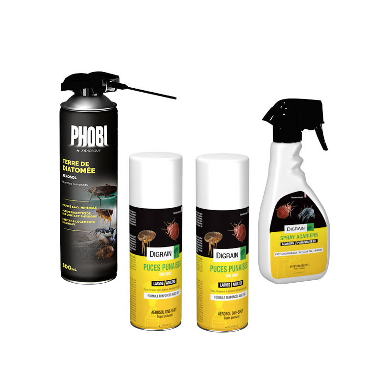 Traiter efficacement votre maison contre les puces