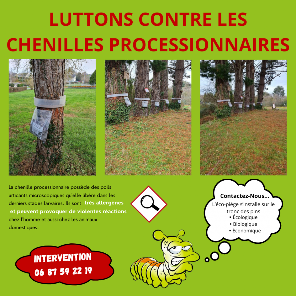 Equipement d'éco-piège Chenilles Processionnaires du pin