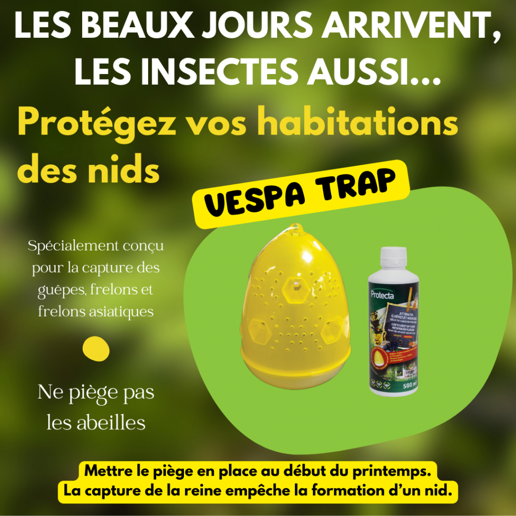 VESPA TRAP Protégez vos habitations des nids