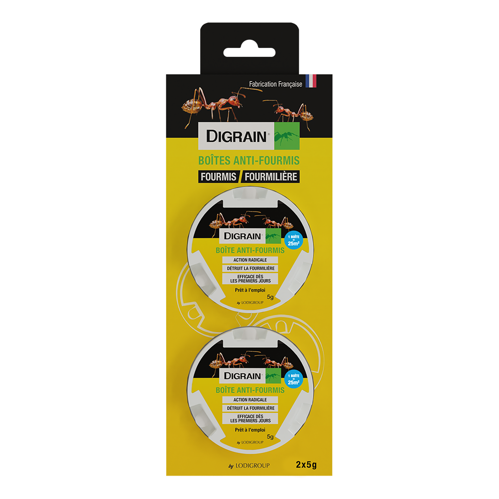 Boîte anti-fourmis