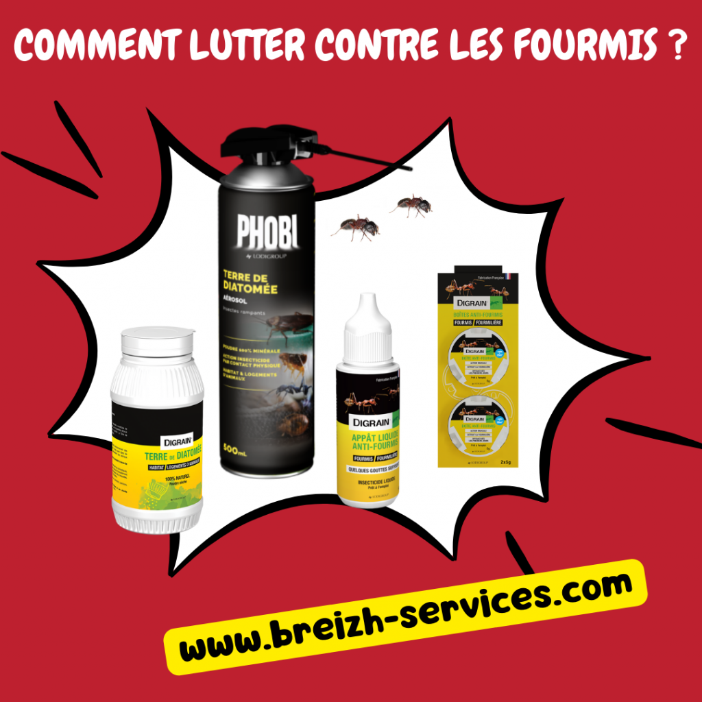 Comment lutter contre les fourmis ?