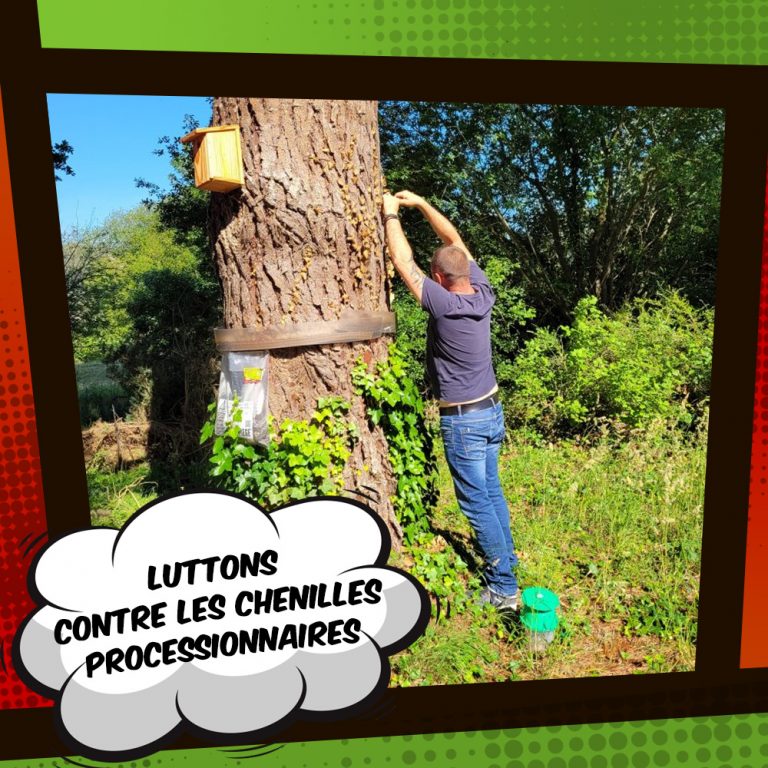 lutte contre les chenilles processionnaires