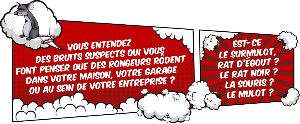 deratisation-banniere