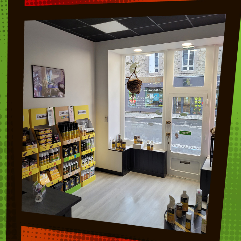 Magasin DINAN