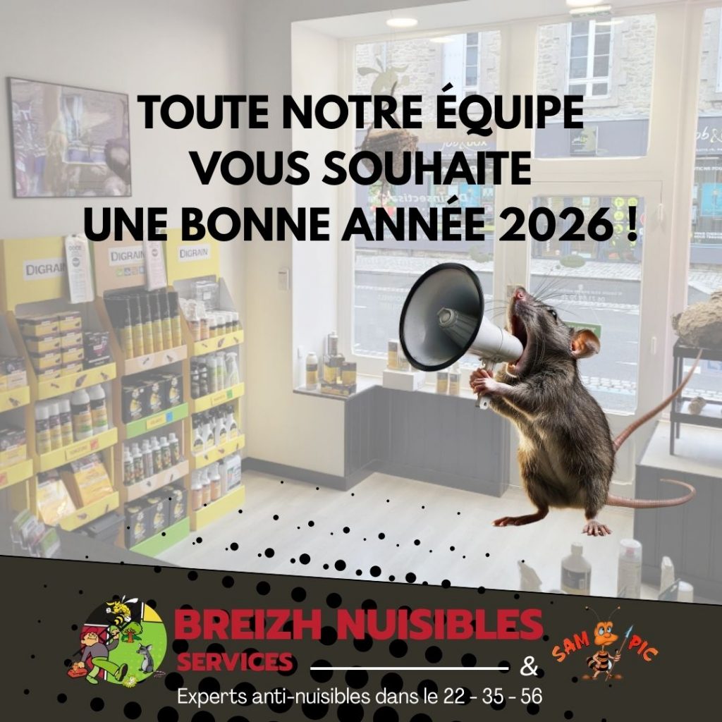 Breizh Nuisibles Services Experts anti-nuisibles efficaces