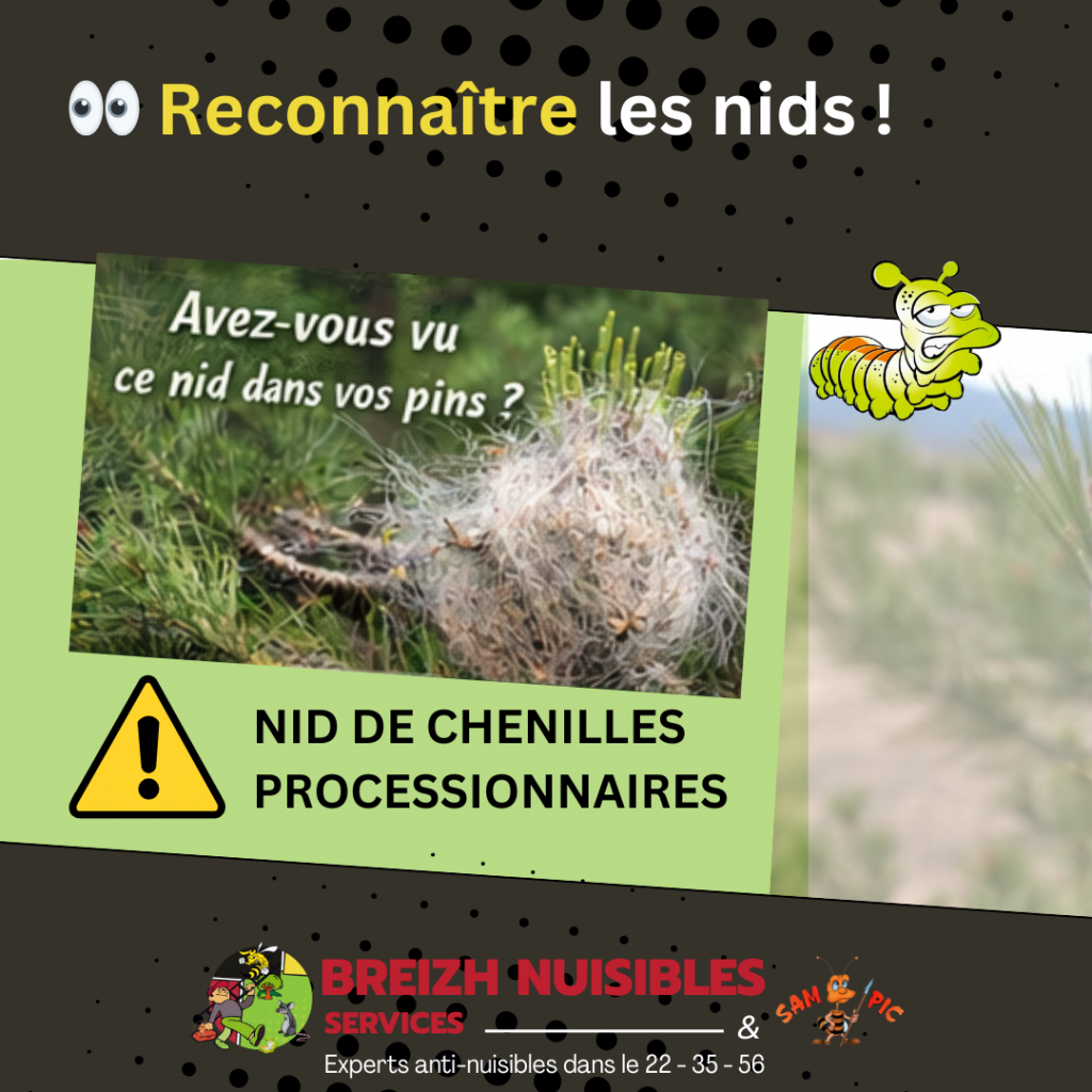 Reconnaître les nids !