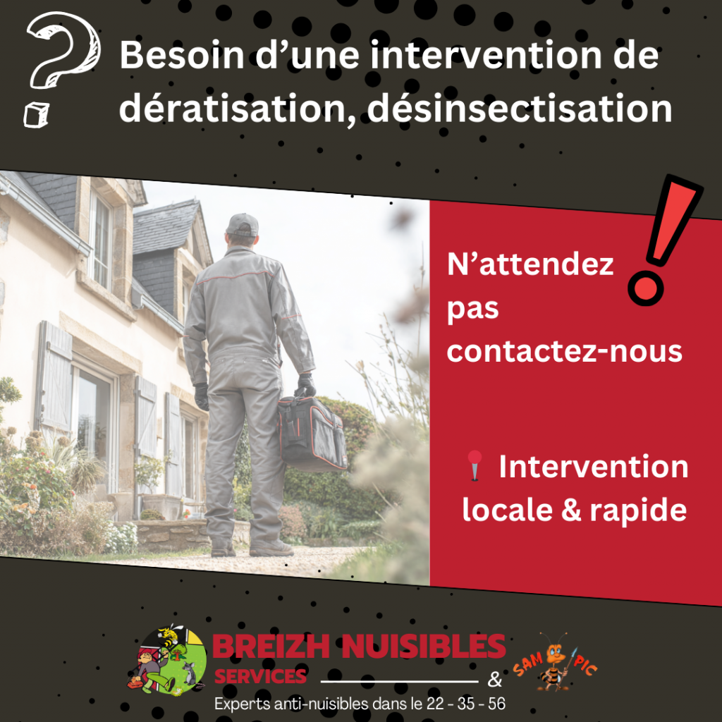 Besoin d’une intervention de dératisation, désinsectisation