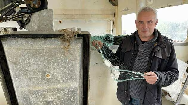 Ca-devient-vraiment-problematique-la-proliferation-des-rats-inquiete-les-fileyeurs-du-port-de-Lorient.