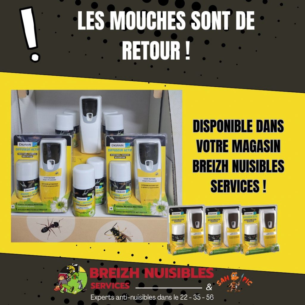 Les mouches sont de retour