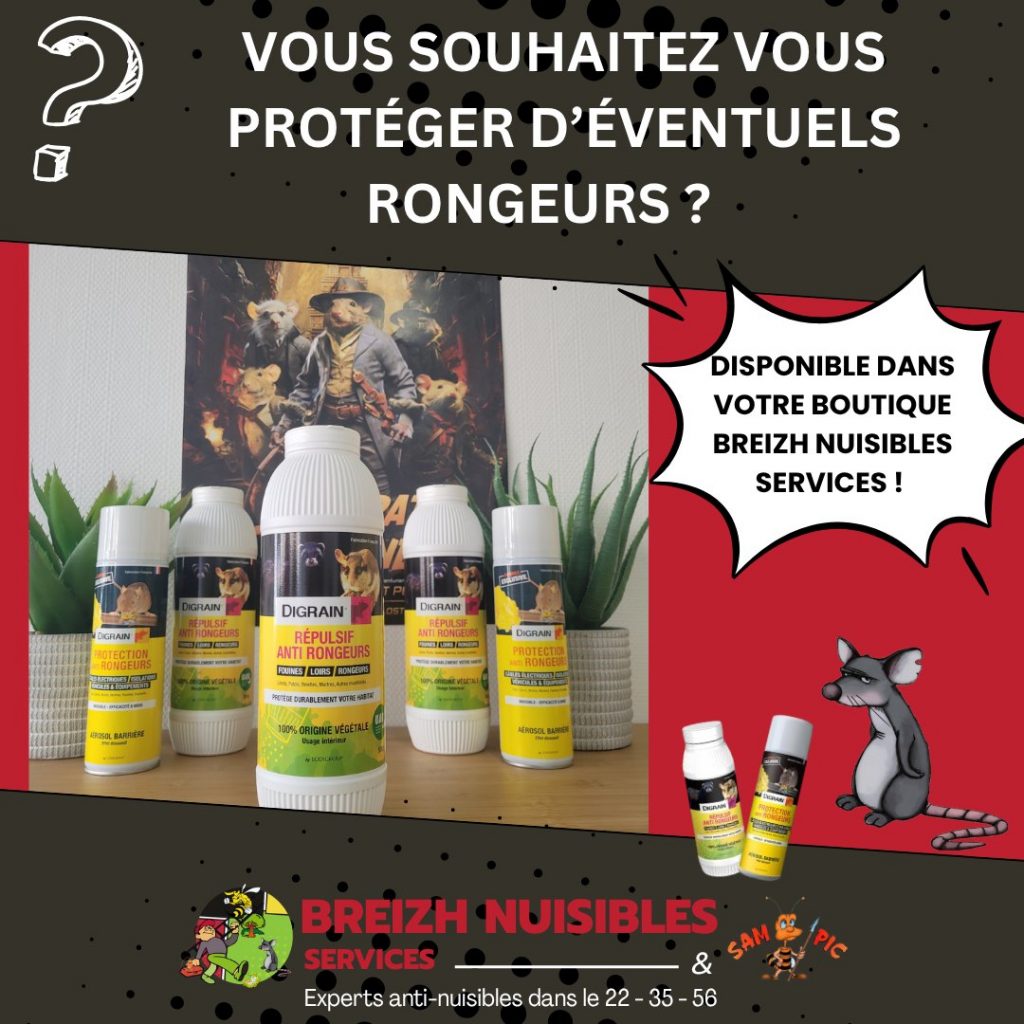 Vous souhaitez vous protéger des rongeurs