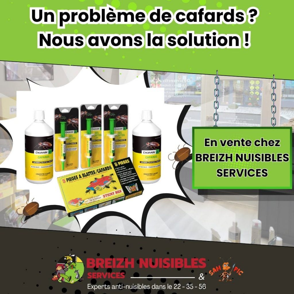 Un problème de carfards nous avons la solution