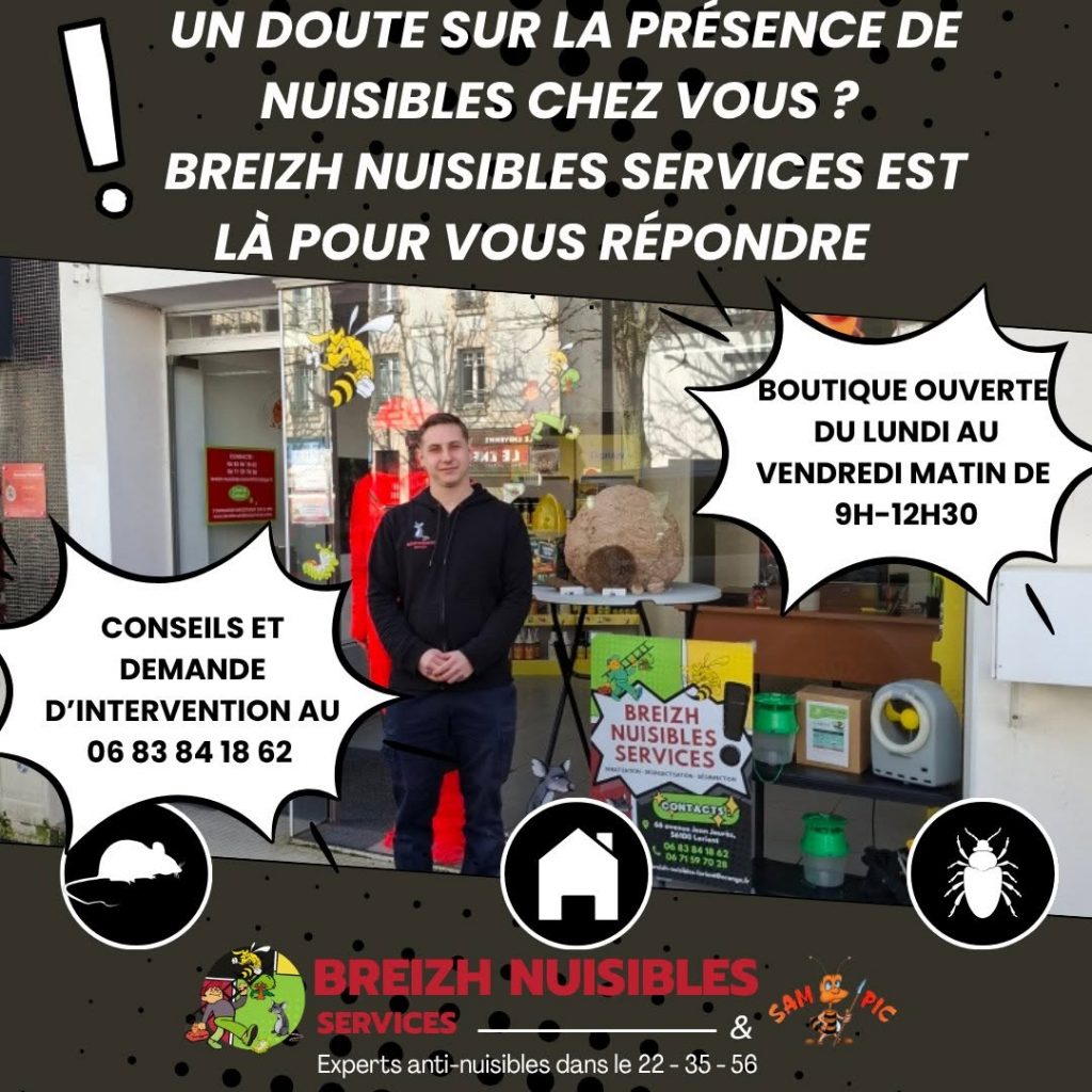 breizh nuisibles services lorient
