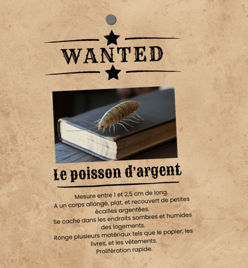 Wanted - Le poisson d'argent