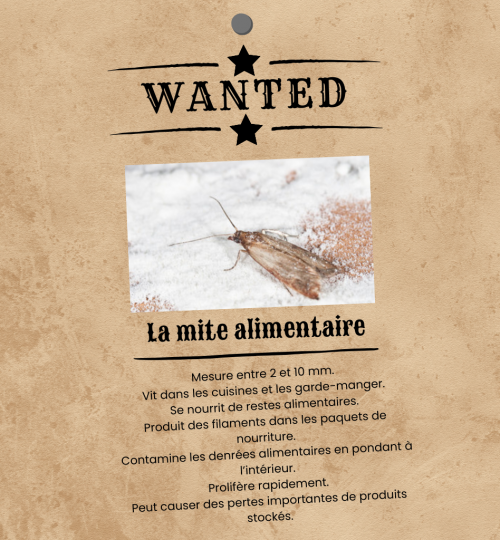 Wanted - la mite alimentaire